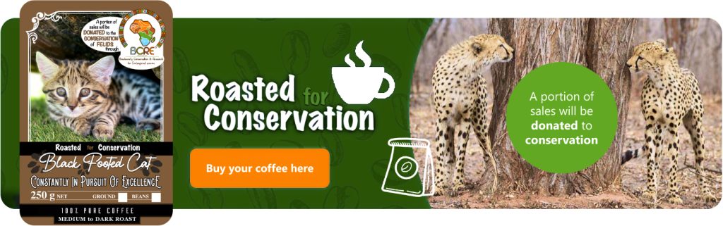 Roasted for Conservation coffee featuring a Black Footed Cat and Cheetahs. A portion of sales donated to conservation.