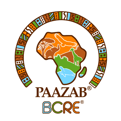 PAAZAB BCRE logo. Africa continent map with wildlife: giraffe, elephant, eagle, turtle. African-inspired pattern.