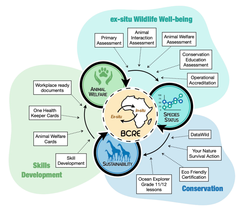 BCRE model diagram illustrating animal welfare, species status, sustainability, conservation, and skills development.