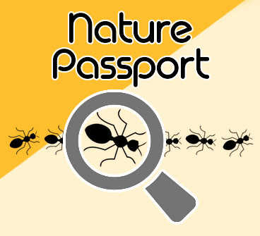 Nature Passport text above a gray magnifying glass enlarging one ant among a row of black ants on orange and cream background.